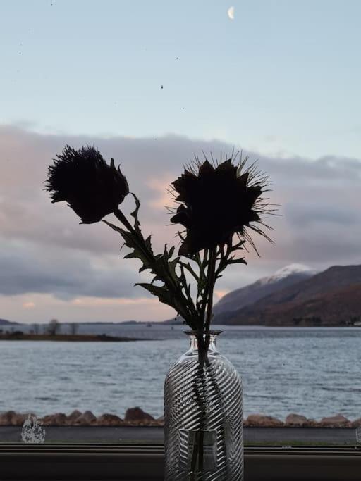 Caol Fort William Loft On Shore Front With Amazing Views מראה חיצוני תמונה
